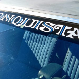 Windshield Visor Tint Strip