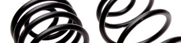 5th Gen Original Rear Coil Springs