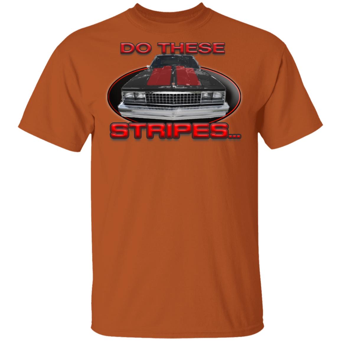 "Do These Stripes...?" - 5th Gen - Image 12